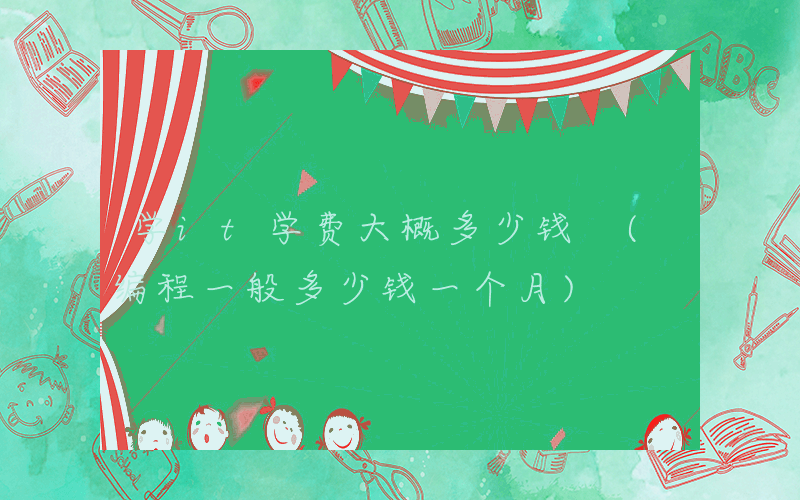 学it学费大概多少钱 (编程一般多少钱一个月)